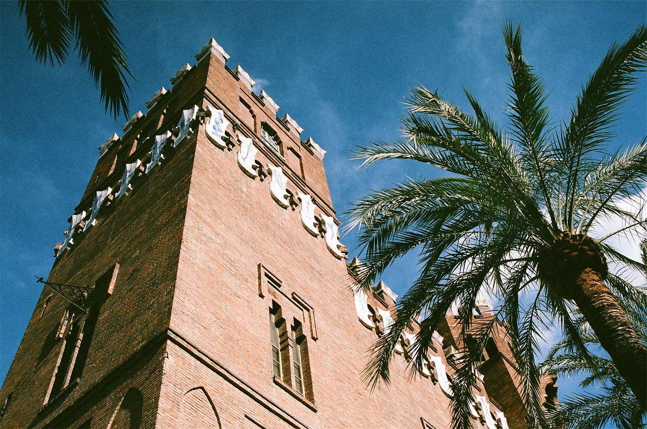 palm tree building architecture free photo