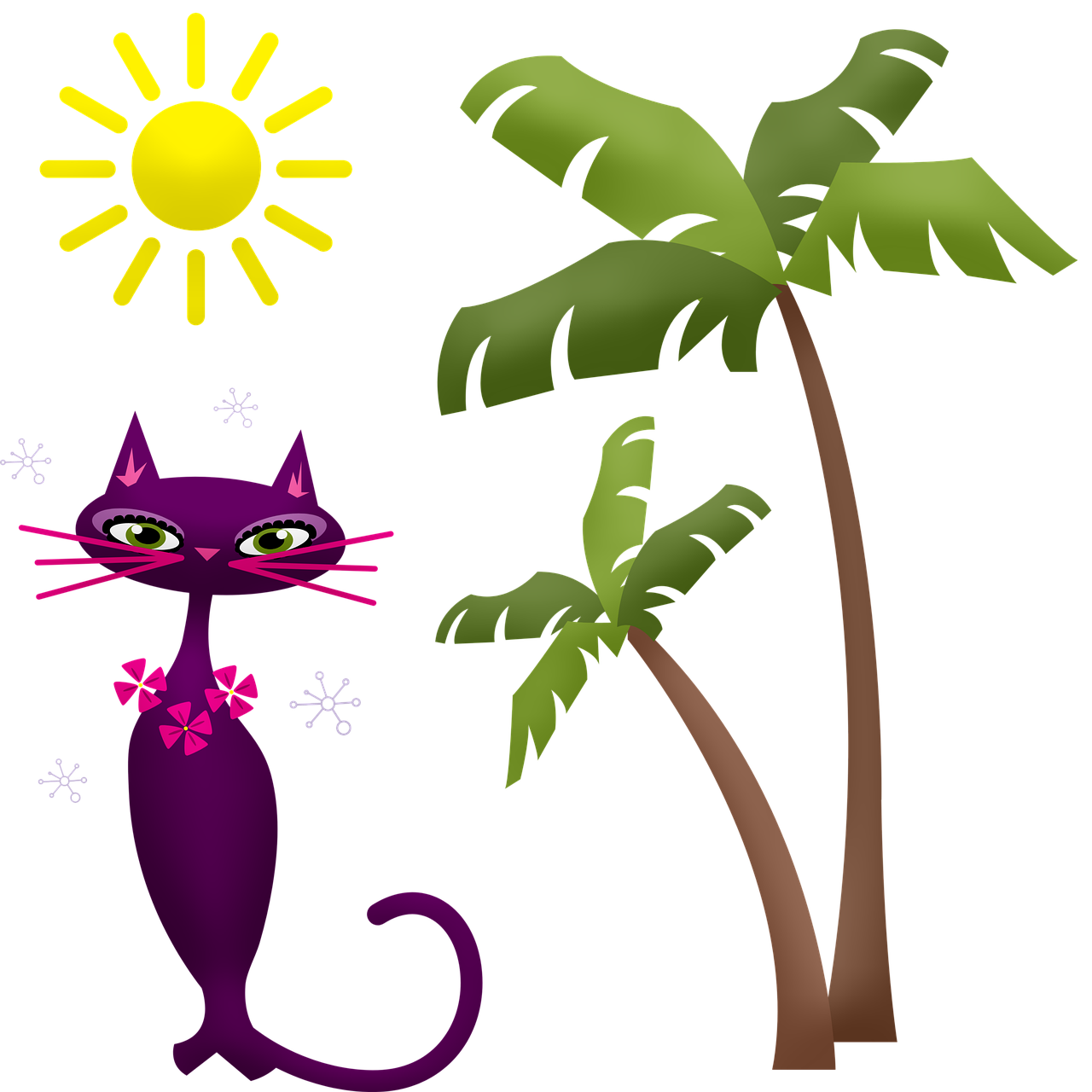 palm tree  cat  hawaii free photo