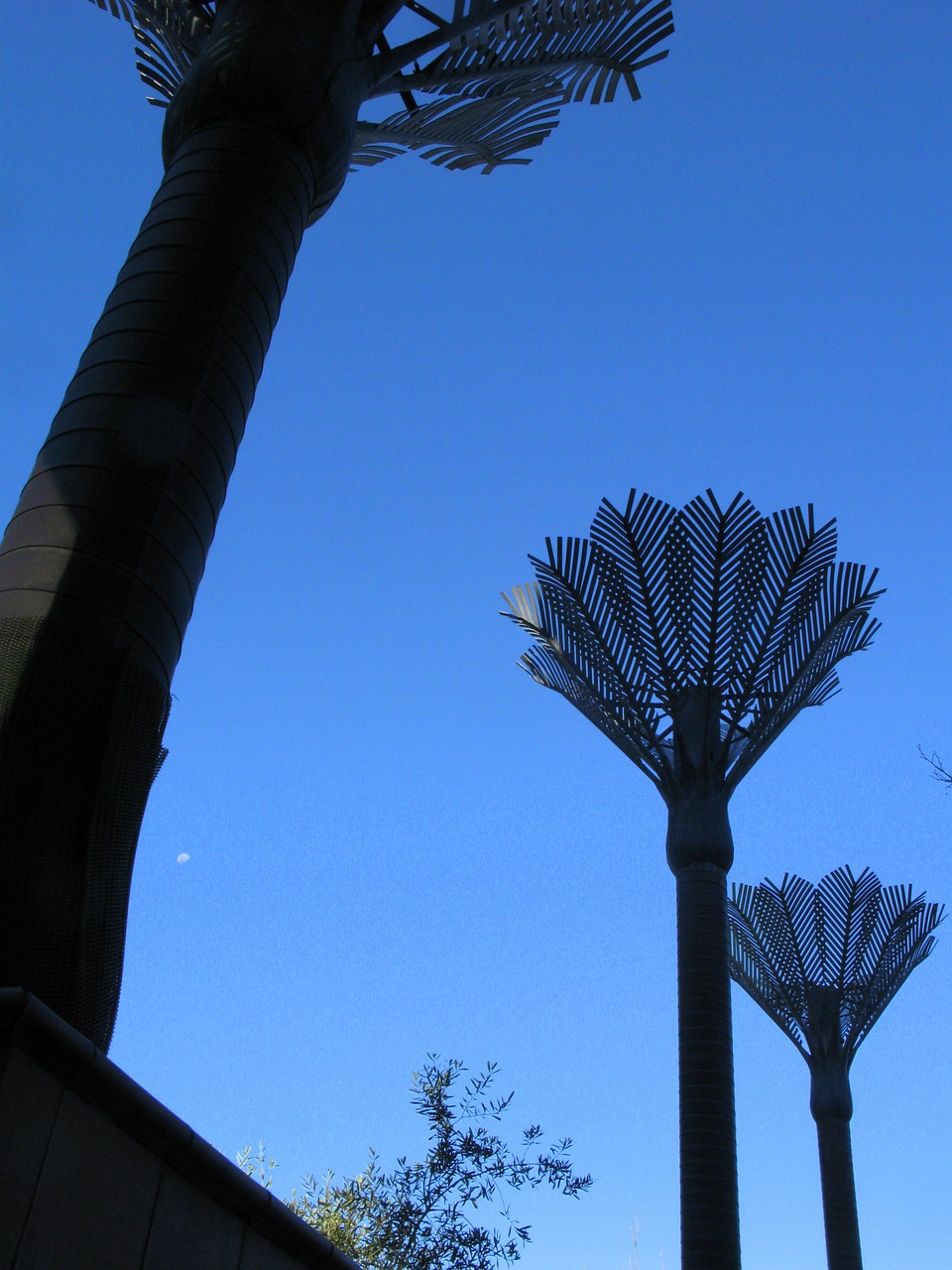 palm-tree sculpture wellington free photo