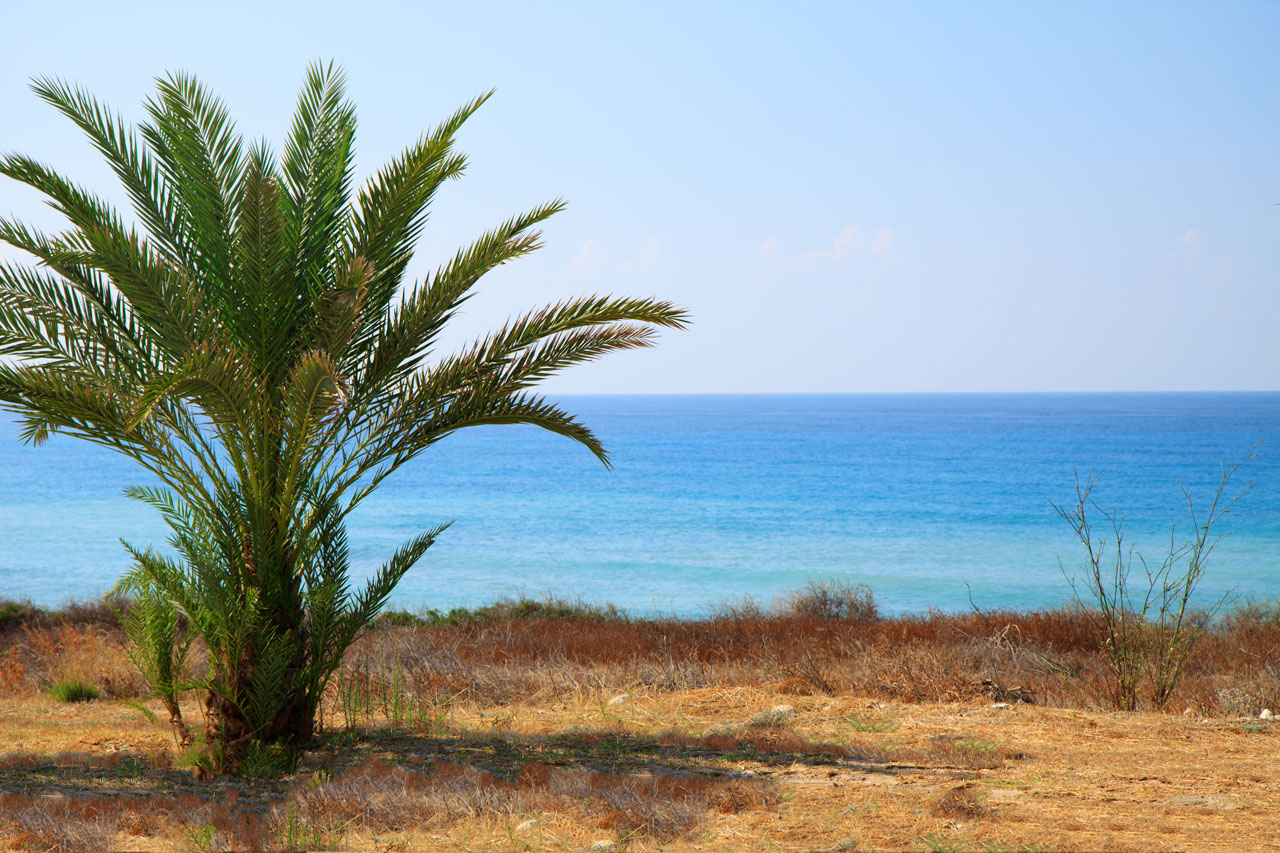 beach beautiful blue free photo