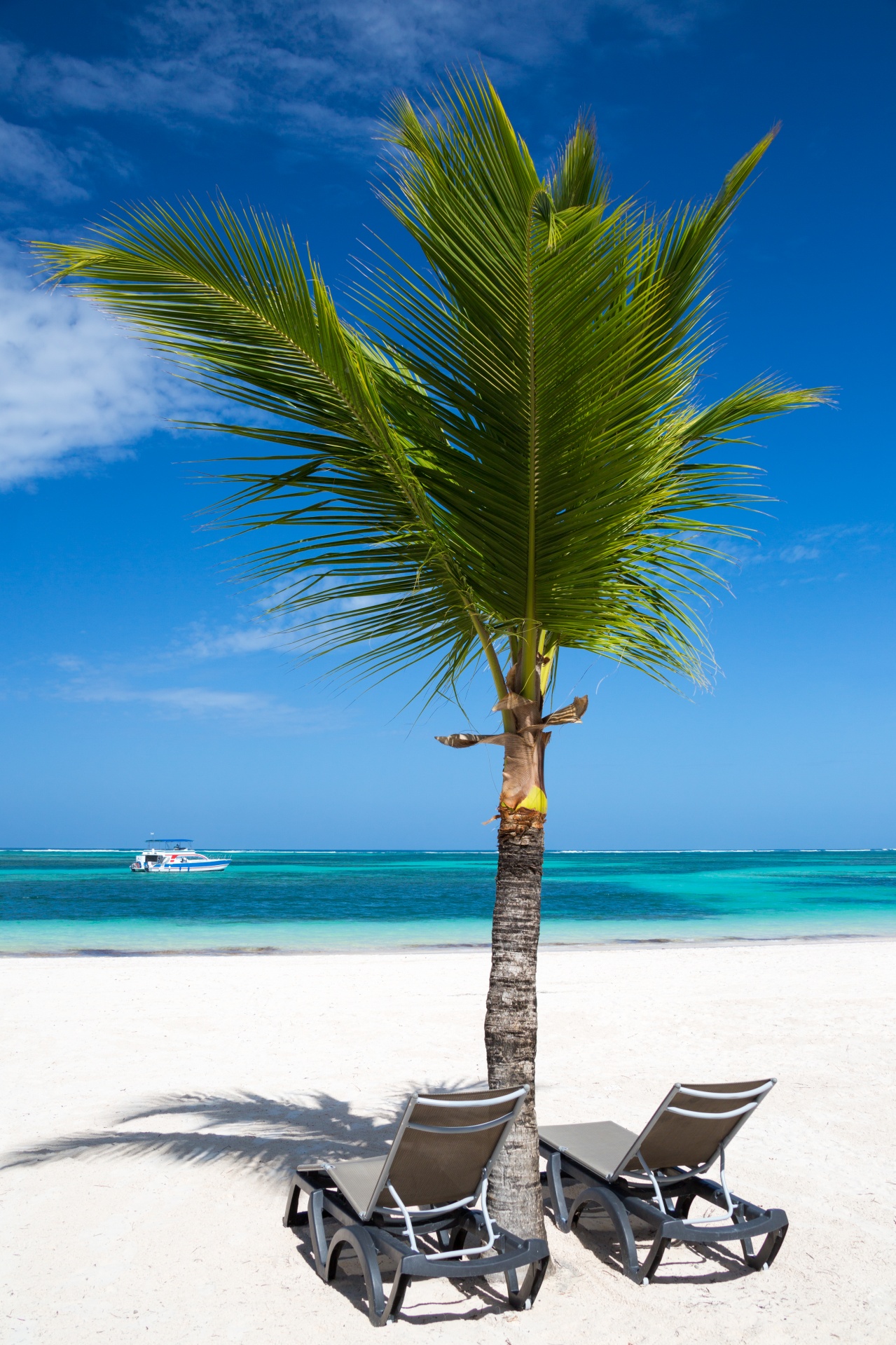 beach blue caribbean free photo