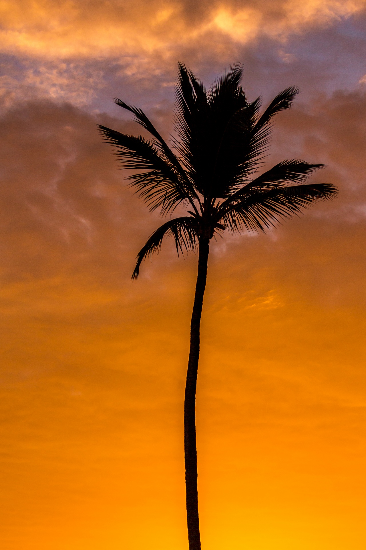 evening exotic island free photo