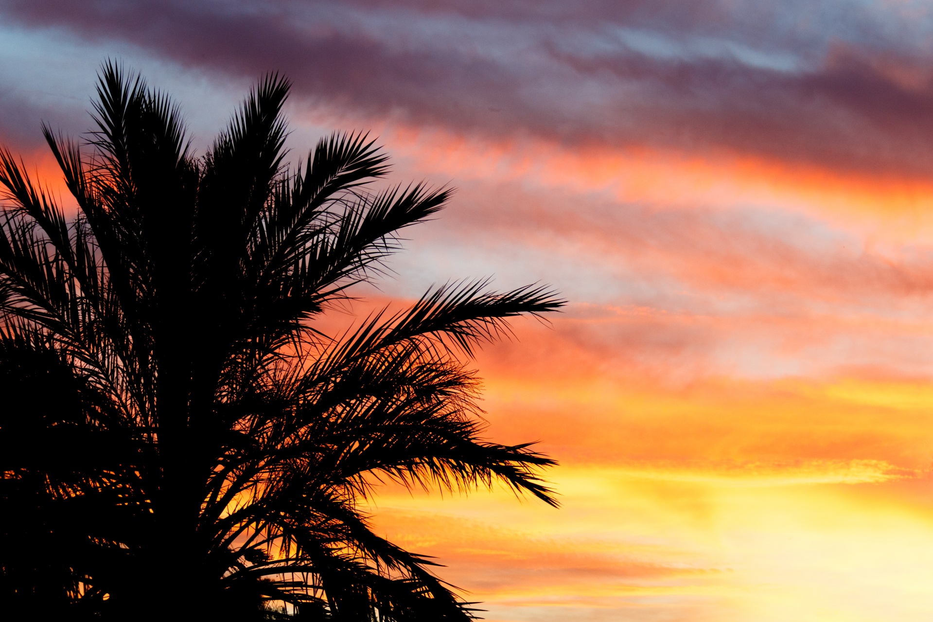 beautiful clouds evening free photo