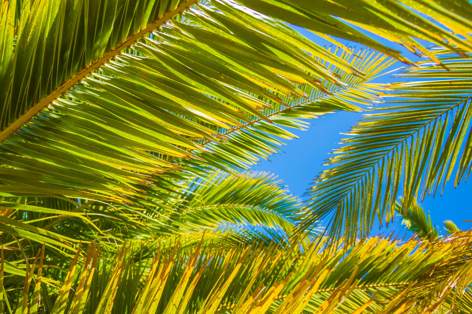 abstract background blue sky free photo