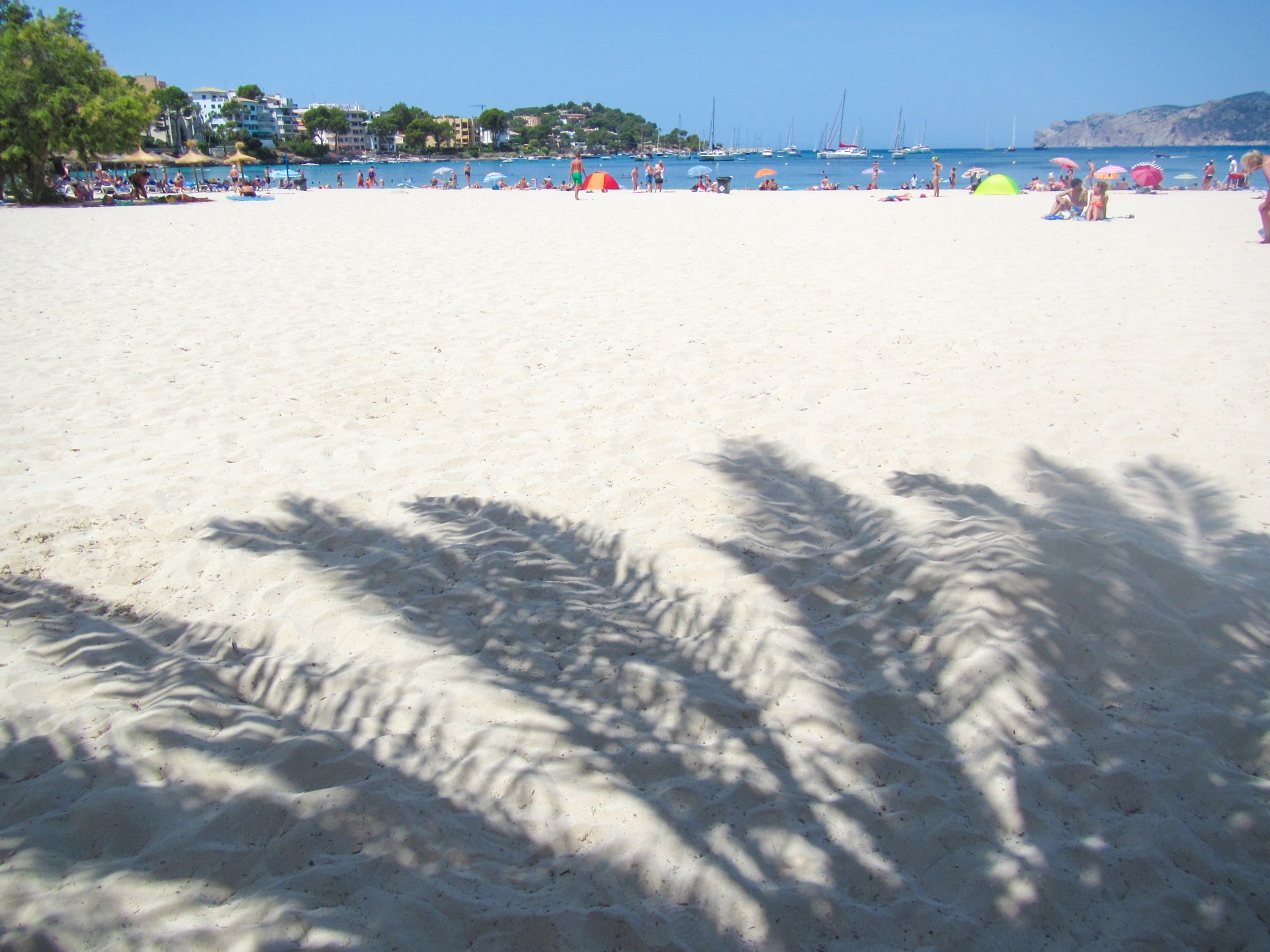 beach blue horizon free photo