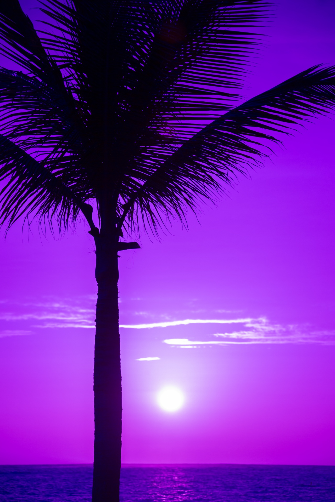 beach beautiful blue free photo