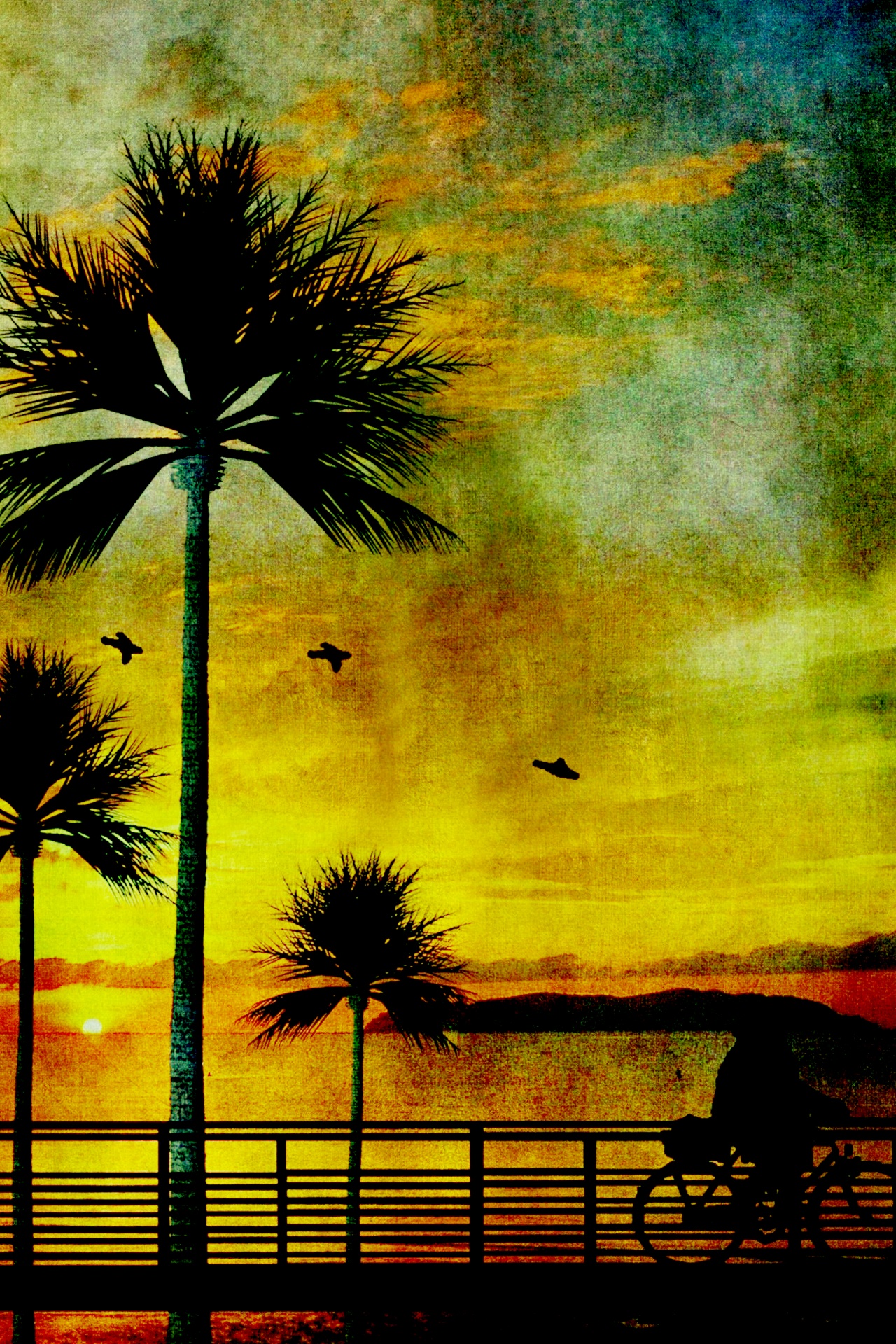 palm tree vintage free photo