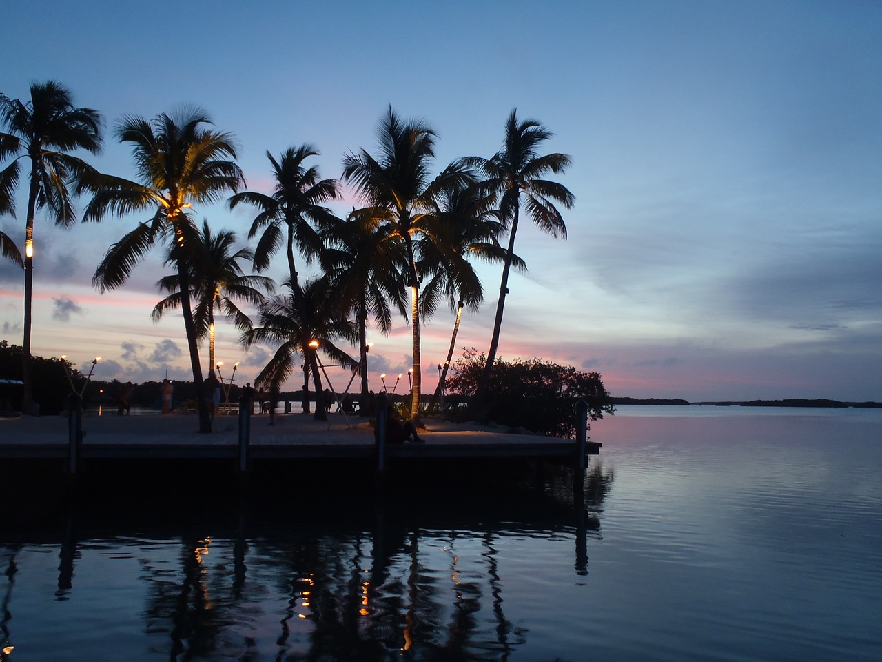 palm trees silhouette sunset free photo