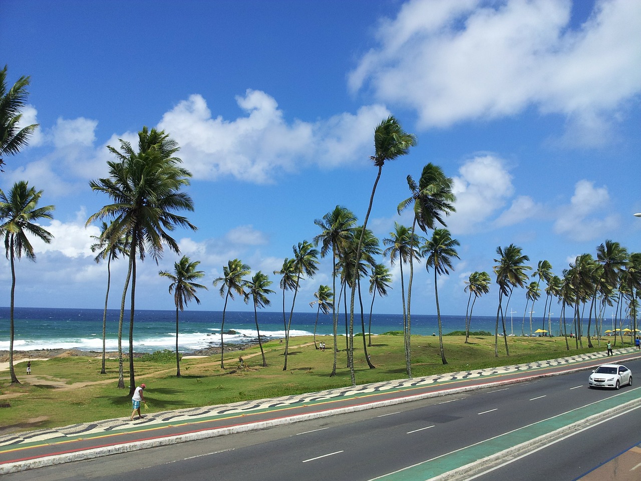 palm trees beach ocean free photo