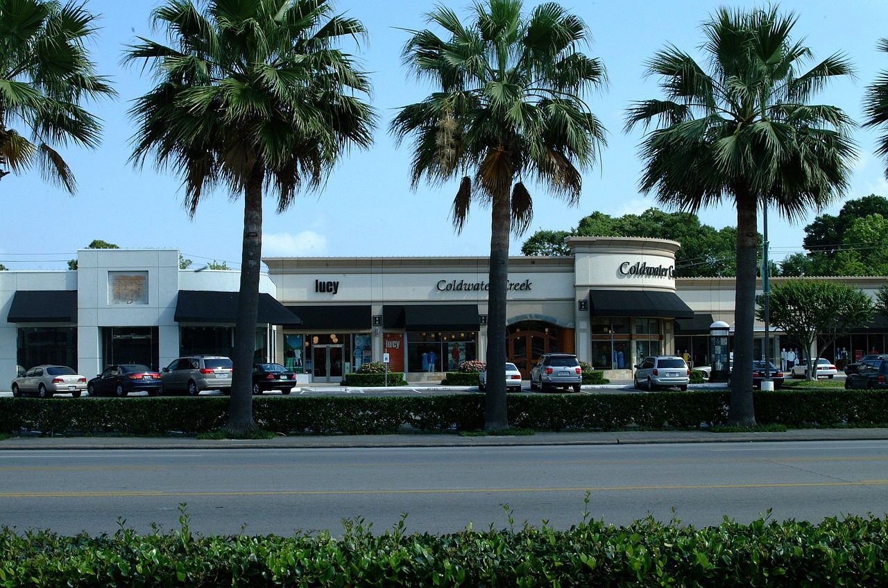 palm trees shops stores free photo