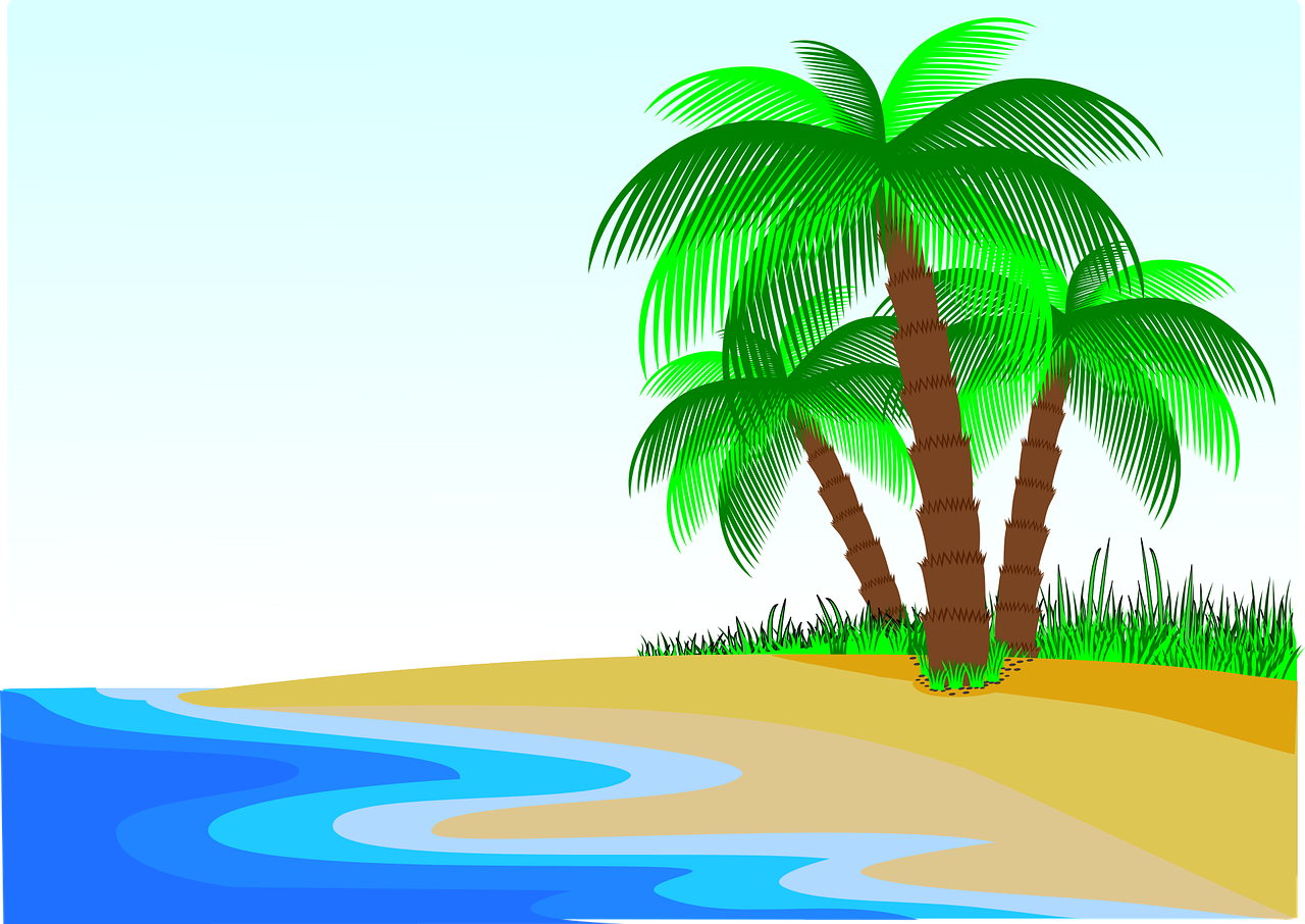 palm trees beach litoral free photo