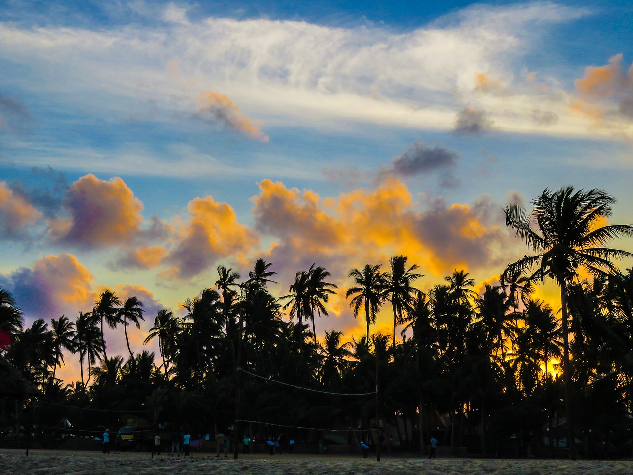 palm trees sunset silhouette free photo