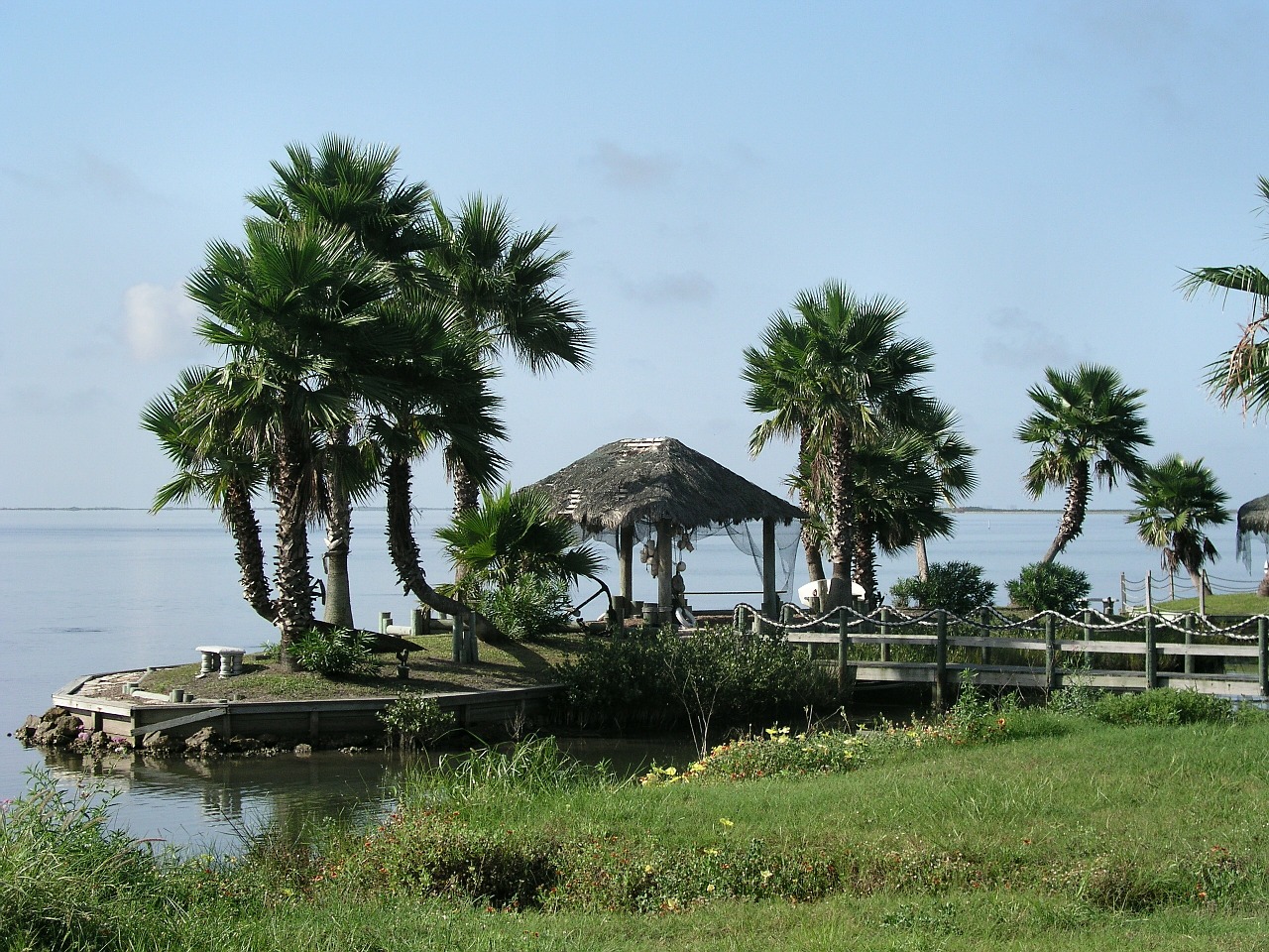palm trees hut ocean free photo