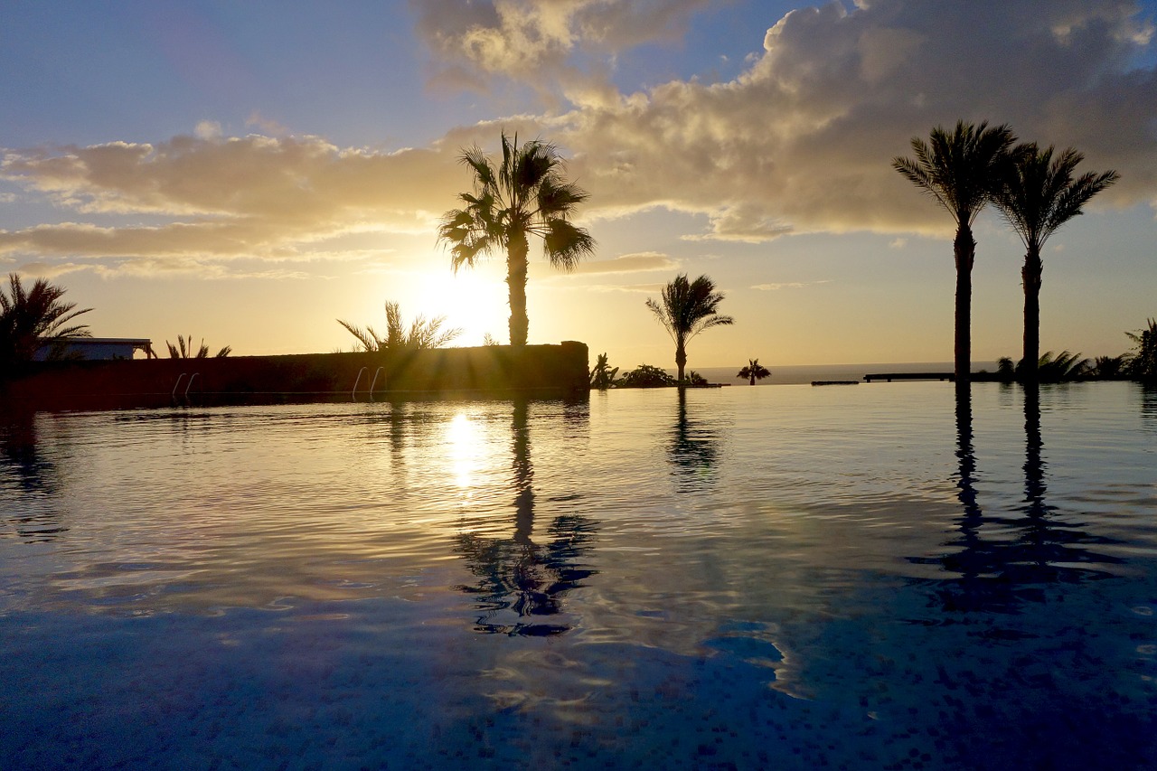 palm trees pool holiday free photo