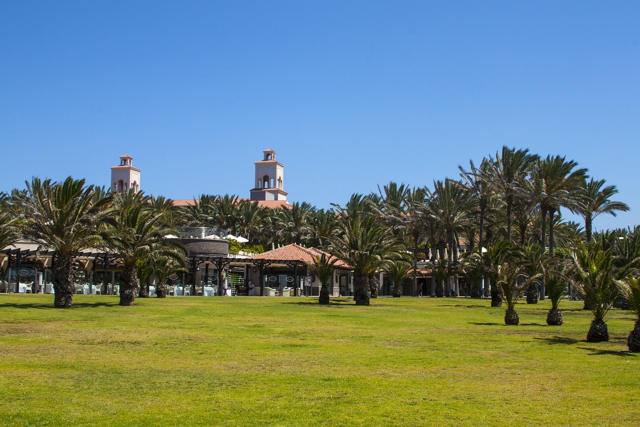 palm trees park tropical free photo