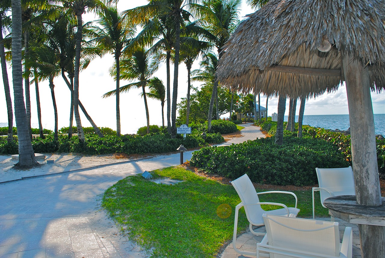 palm trees resort florida keys free photo