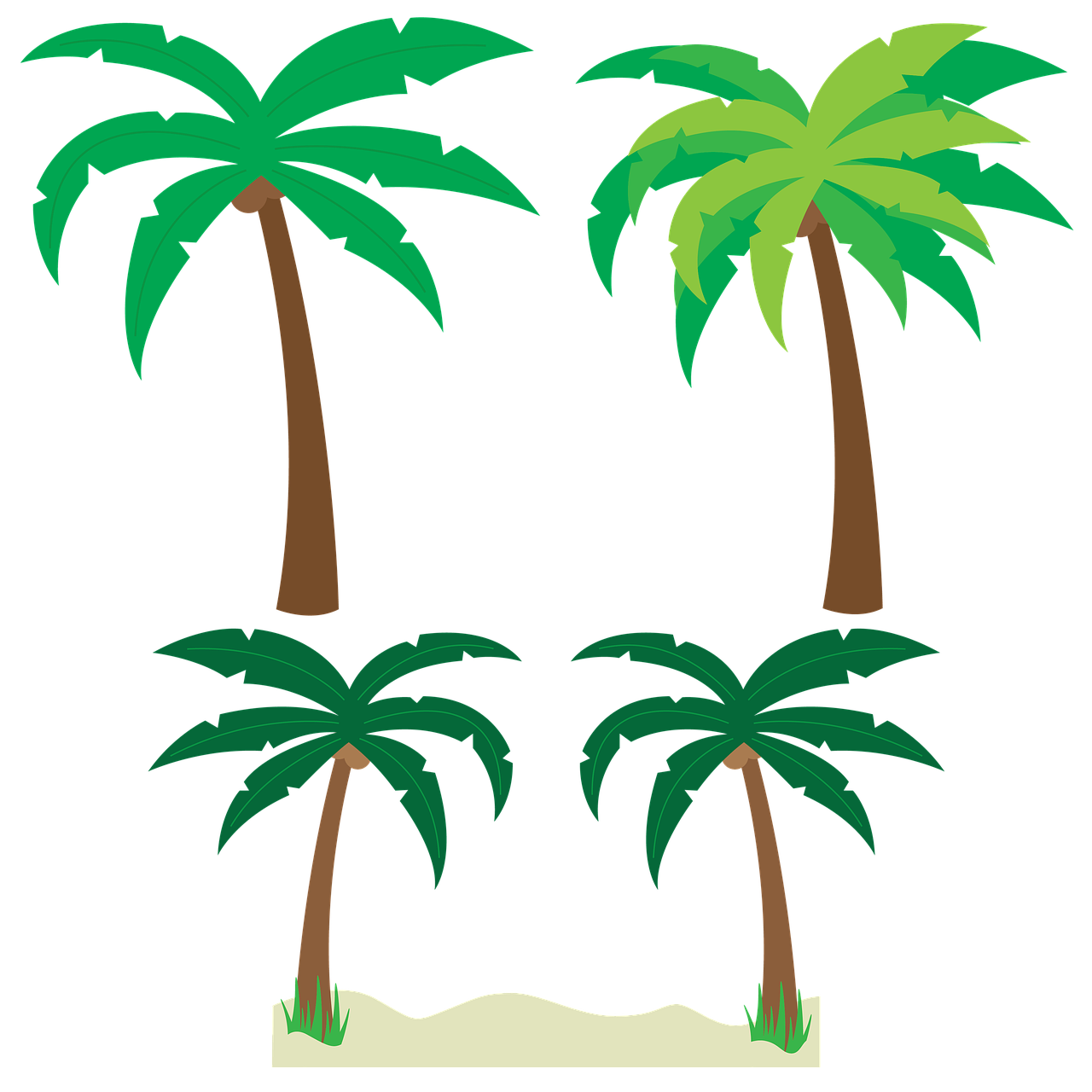 palm trees trees palm tree vector free photo