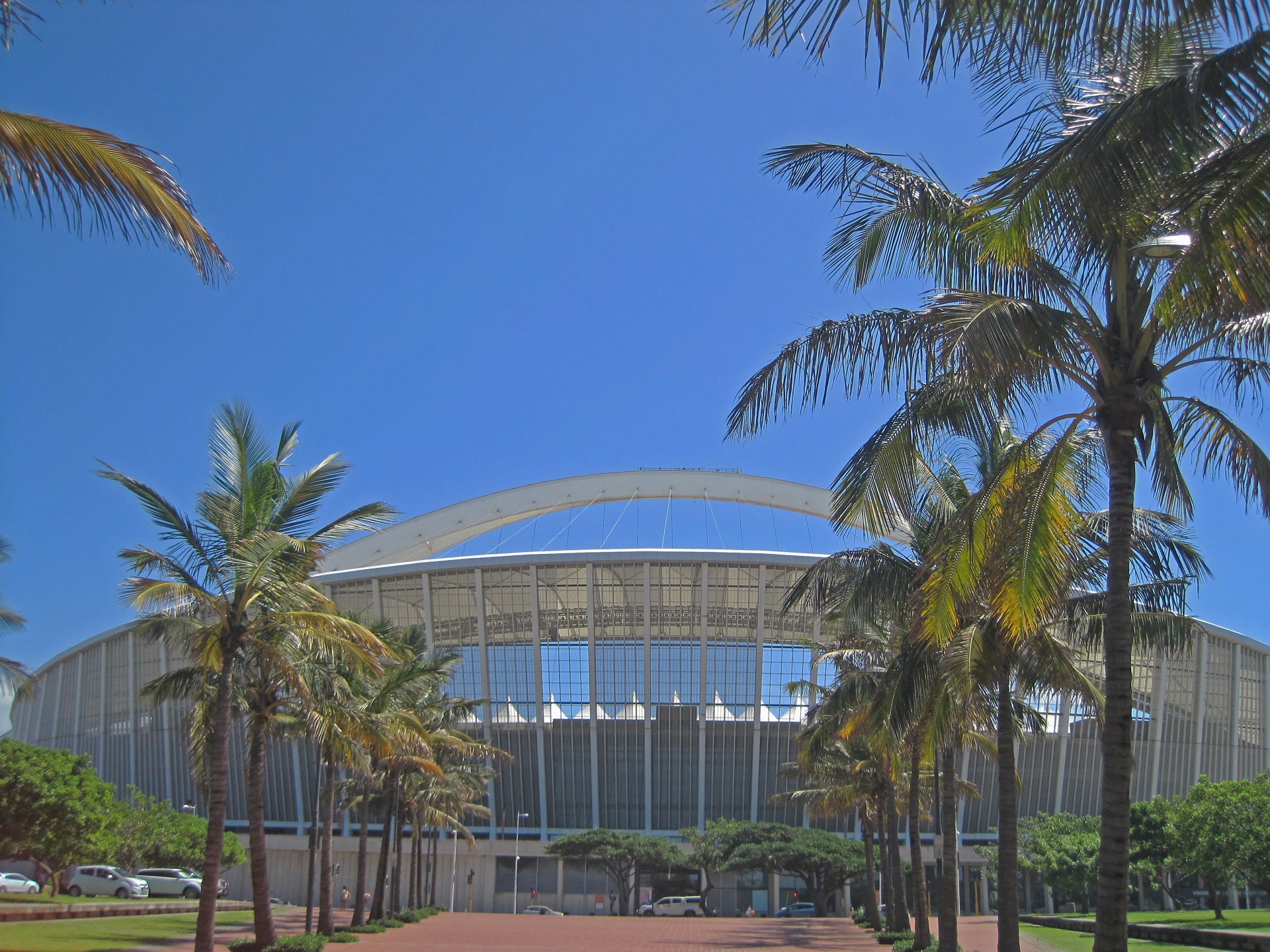 trees palm stadium free photo