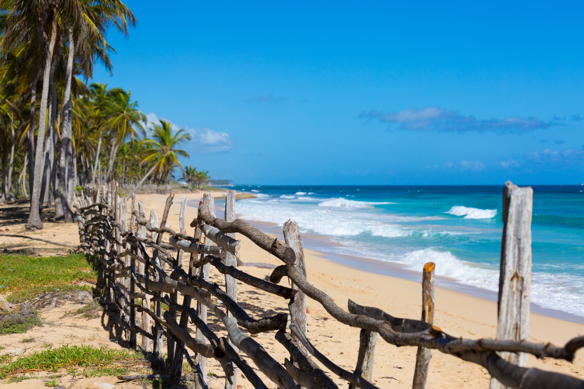 beach caribbean coast free photo