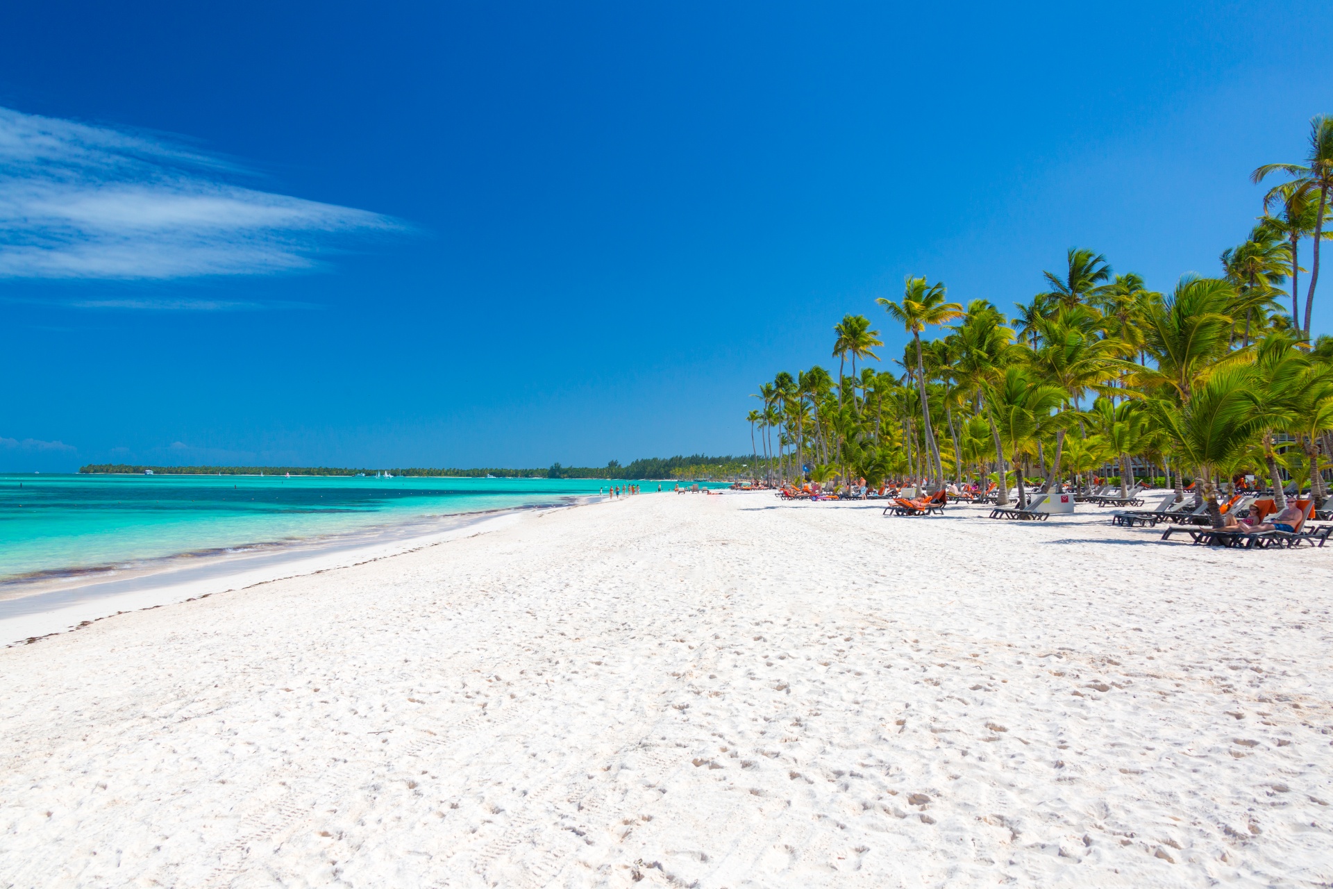 beach blue caribbean free photo