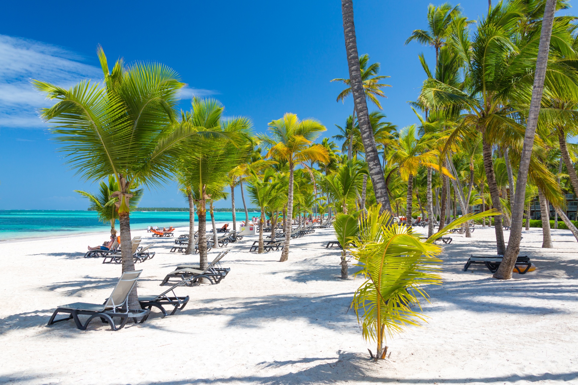 beach blue caribbean free photo