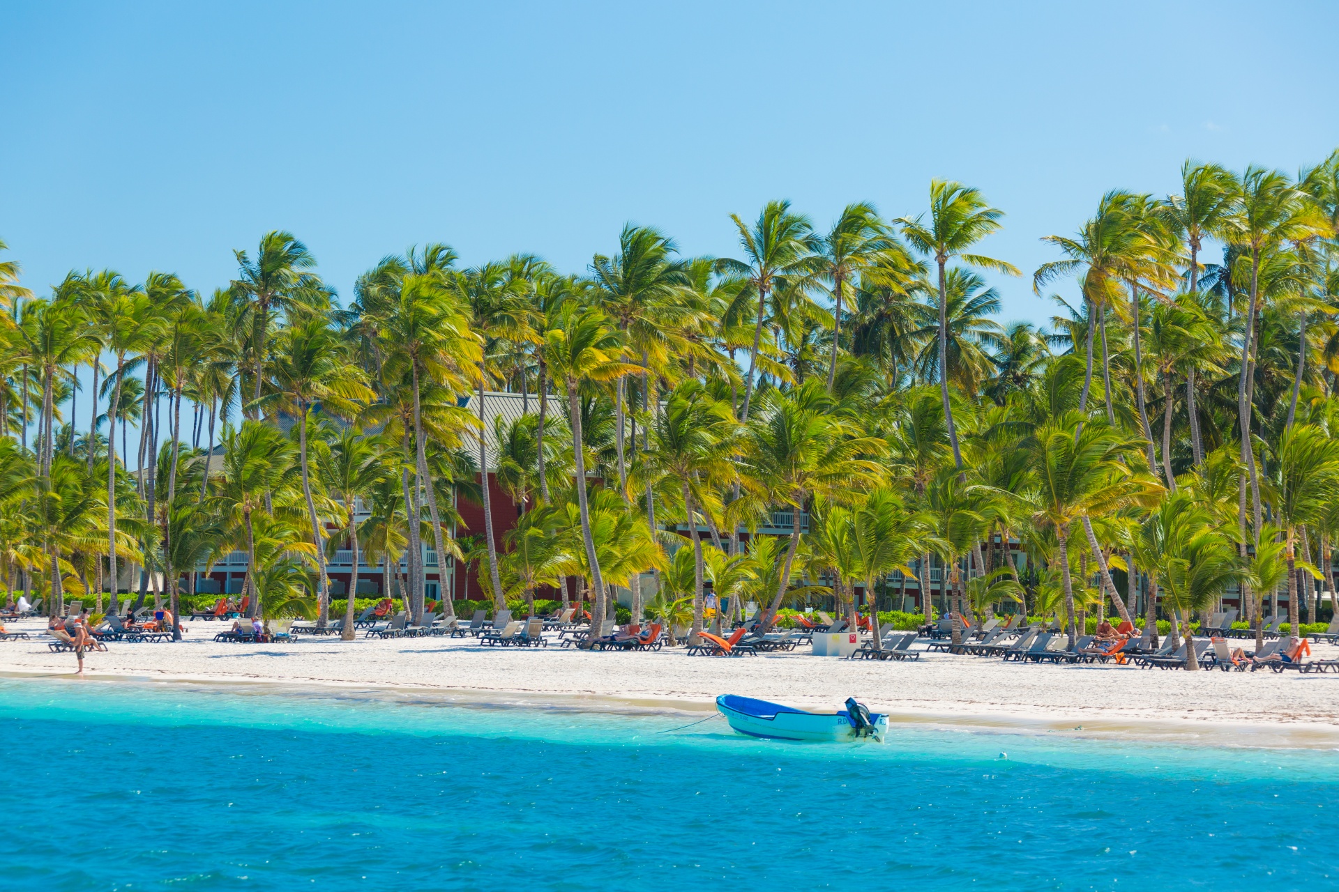 beach blue caribbean free photo