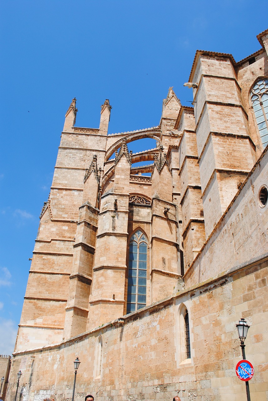 palma mallorca cathedral free photo