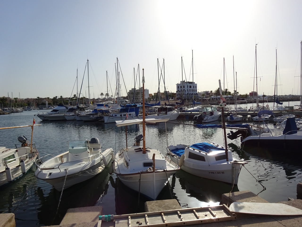 palma port boats free photo