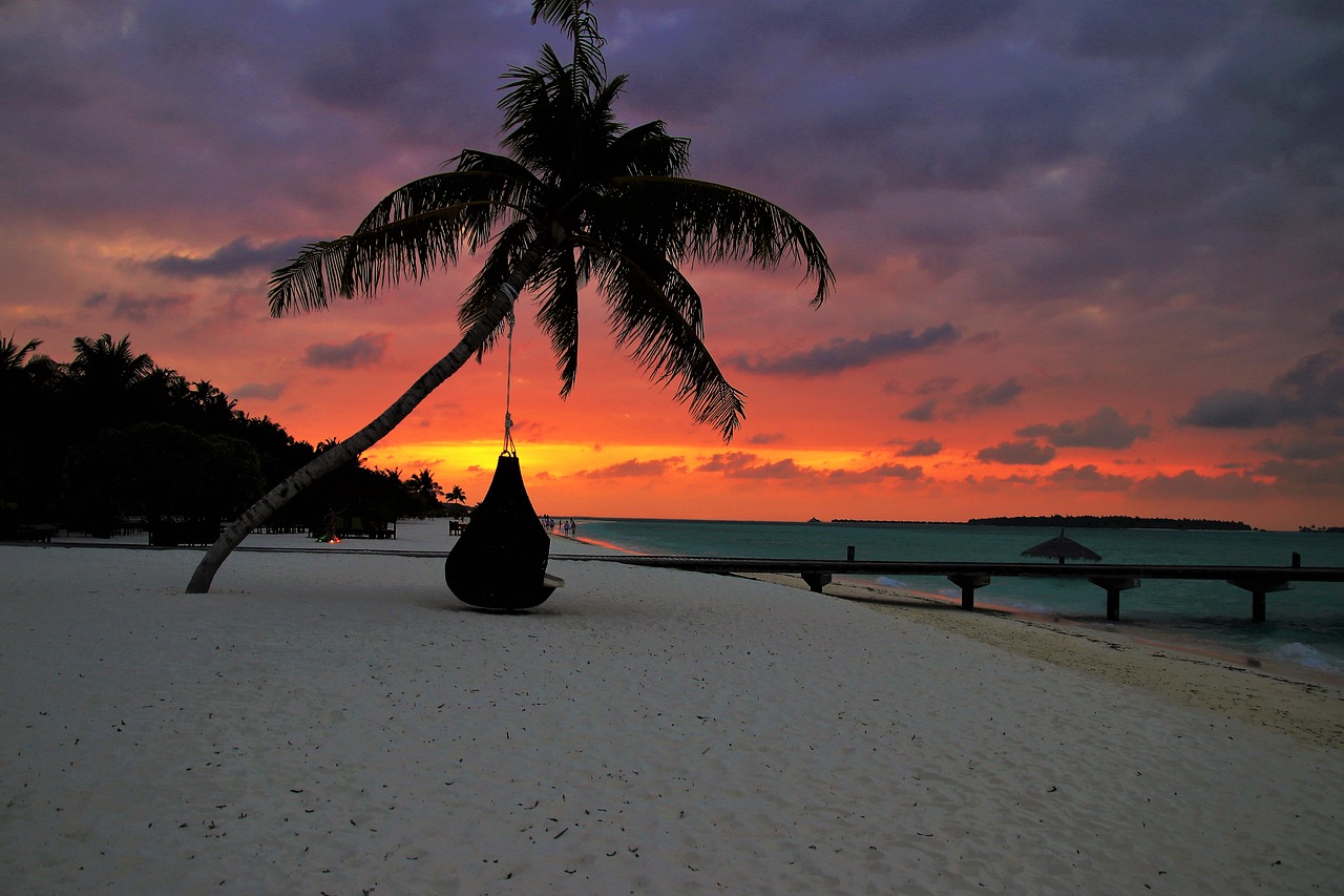 palma beach sand free photo