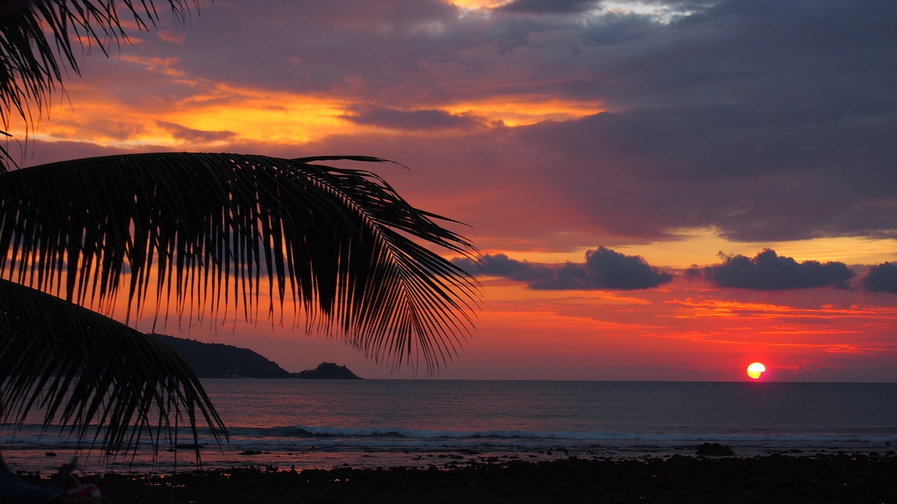 palma  sunset  thailand free photo