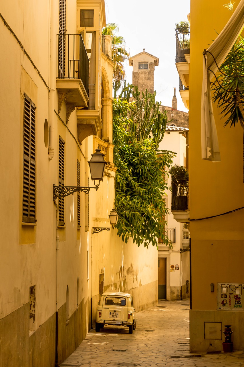 palma de mallorca alley summer free photo