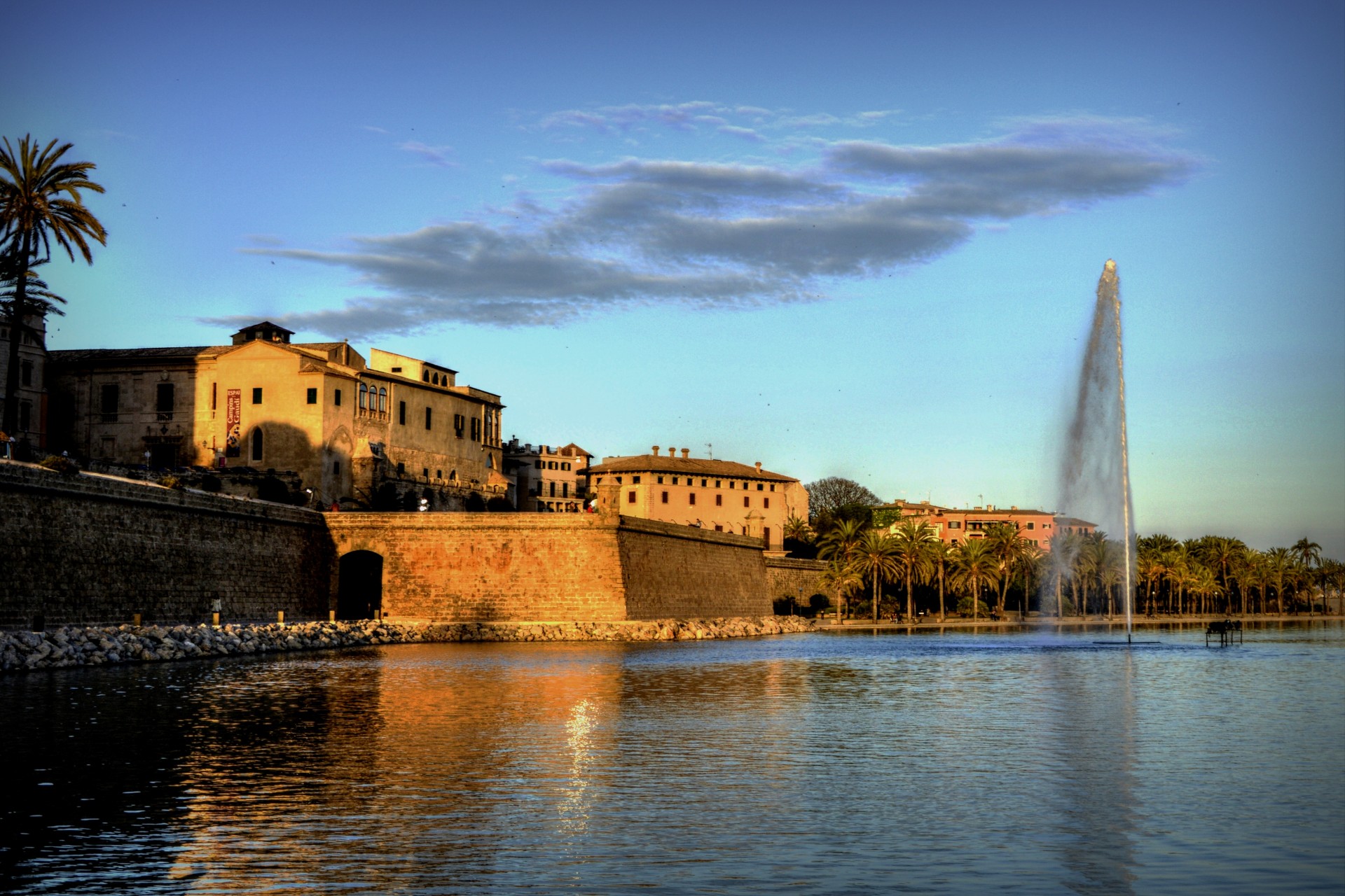 palma de mallorca cathedral lake free photo