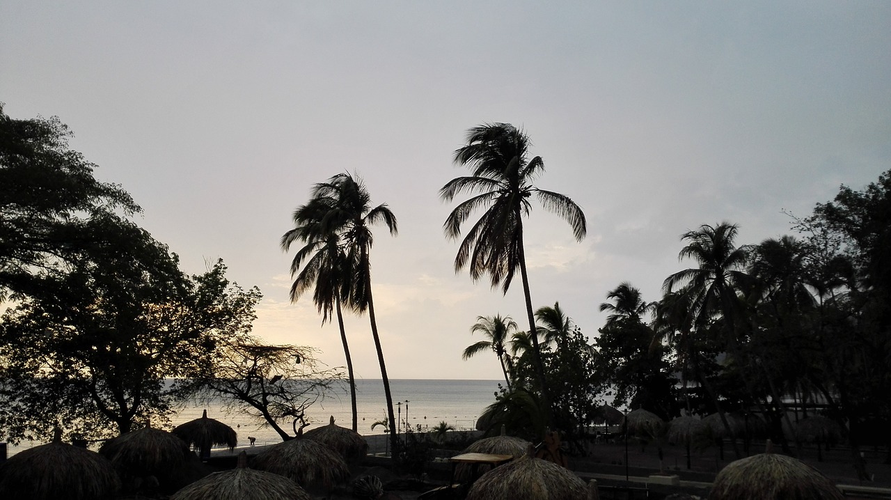 palmas beach sunset free photo