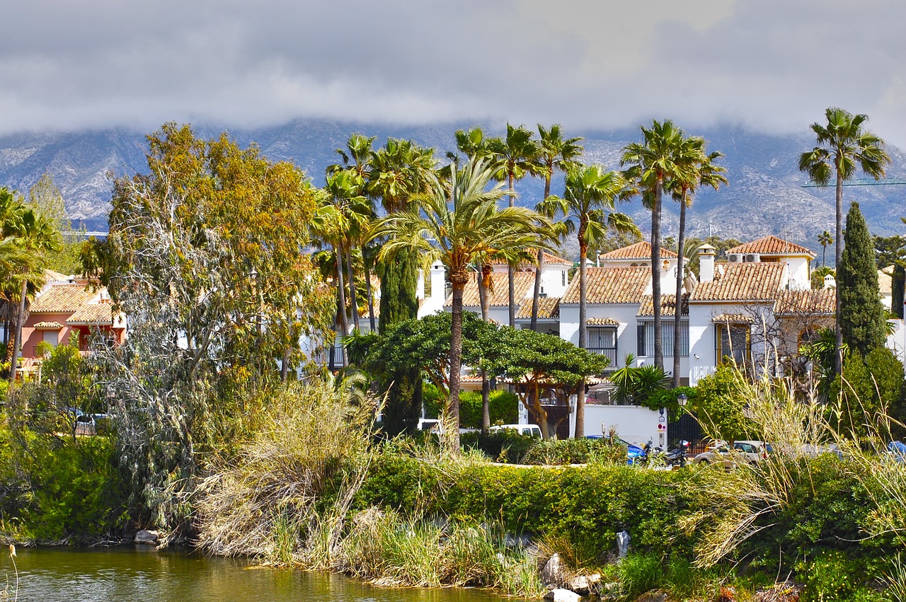 palms trees landscape free photo