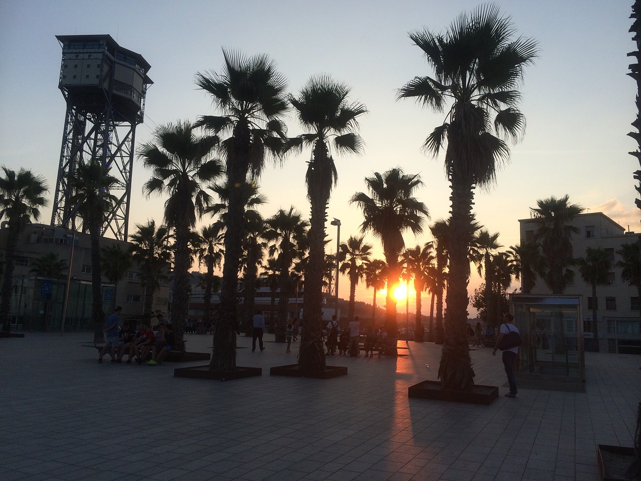 palms sunset barcelona free photo