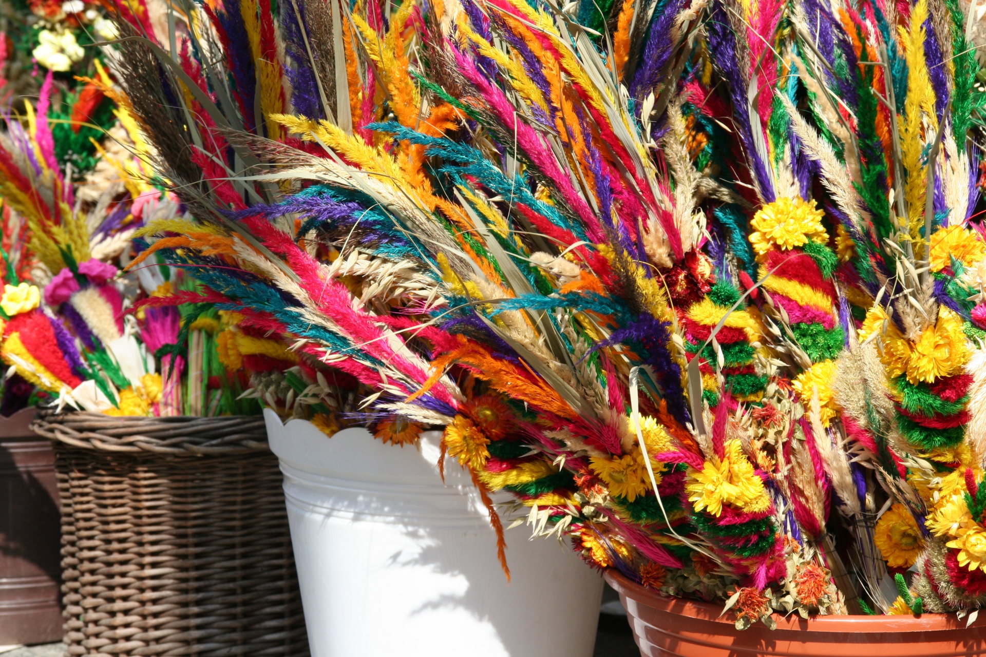 palm tree easter colors free photo