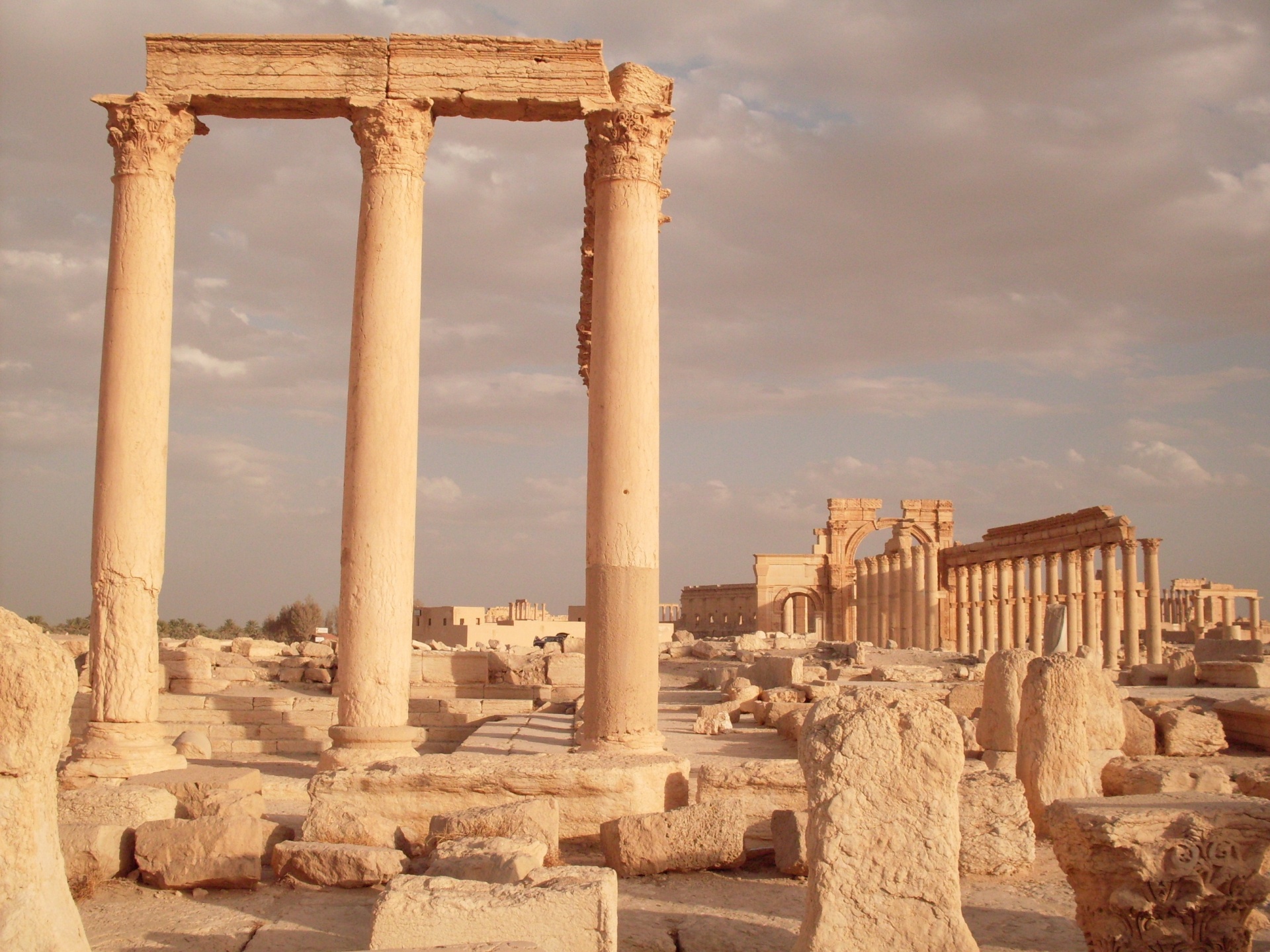 palmyra syria colonnade free photo