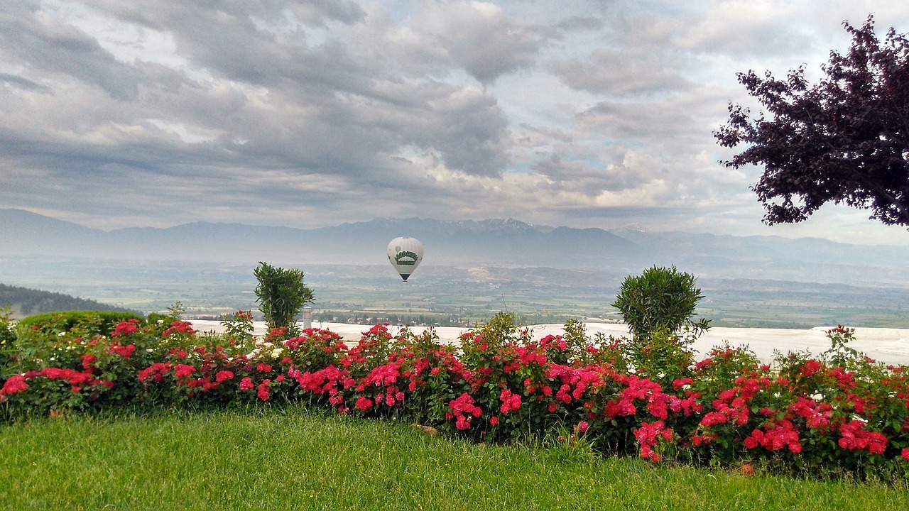 pamukalle turkey flowers free photo