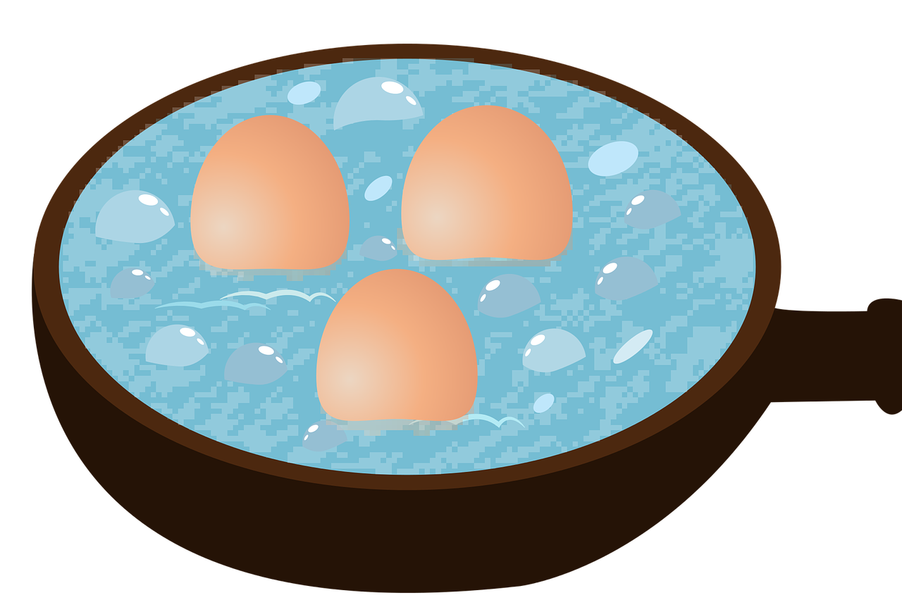 pan egg eggs free photo