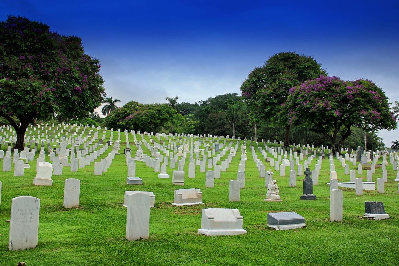 panama cemetery graves free photo