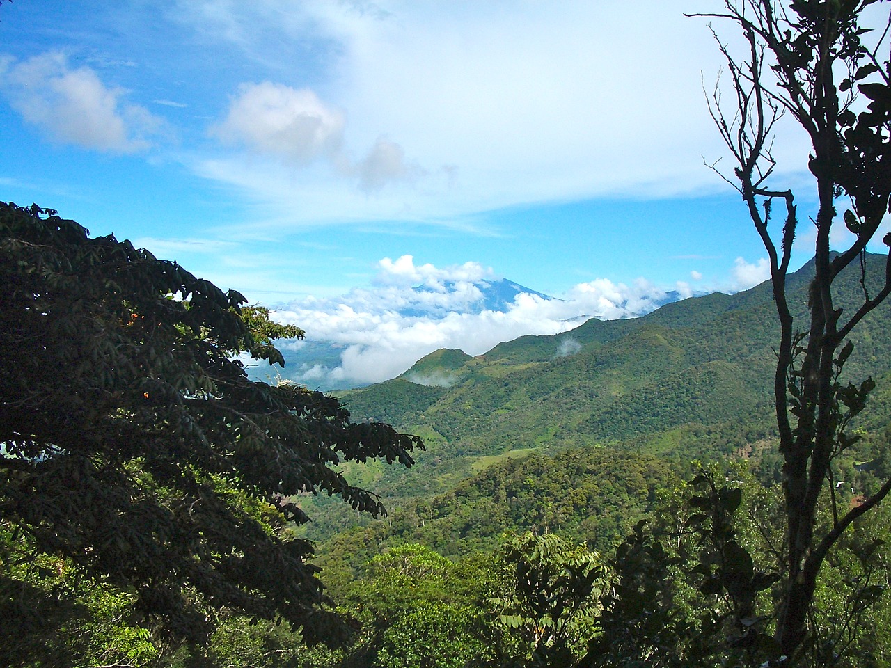 panama cloud forest sky free photo