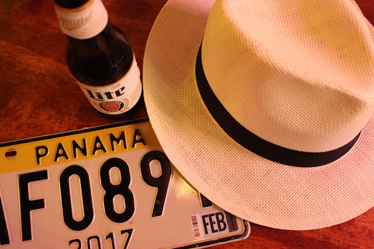 panama  hat  hats free photo