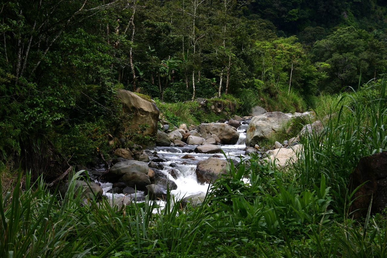 stream river water free photo