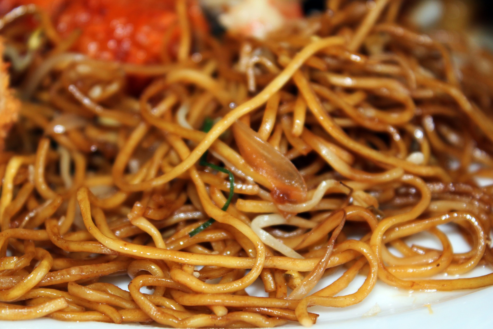 food noodles pancit canton free photo