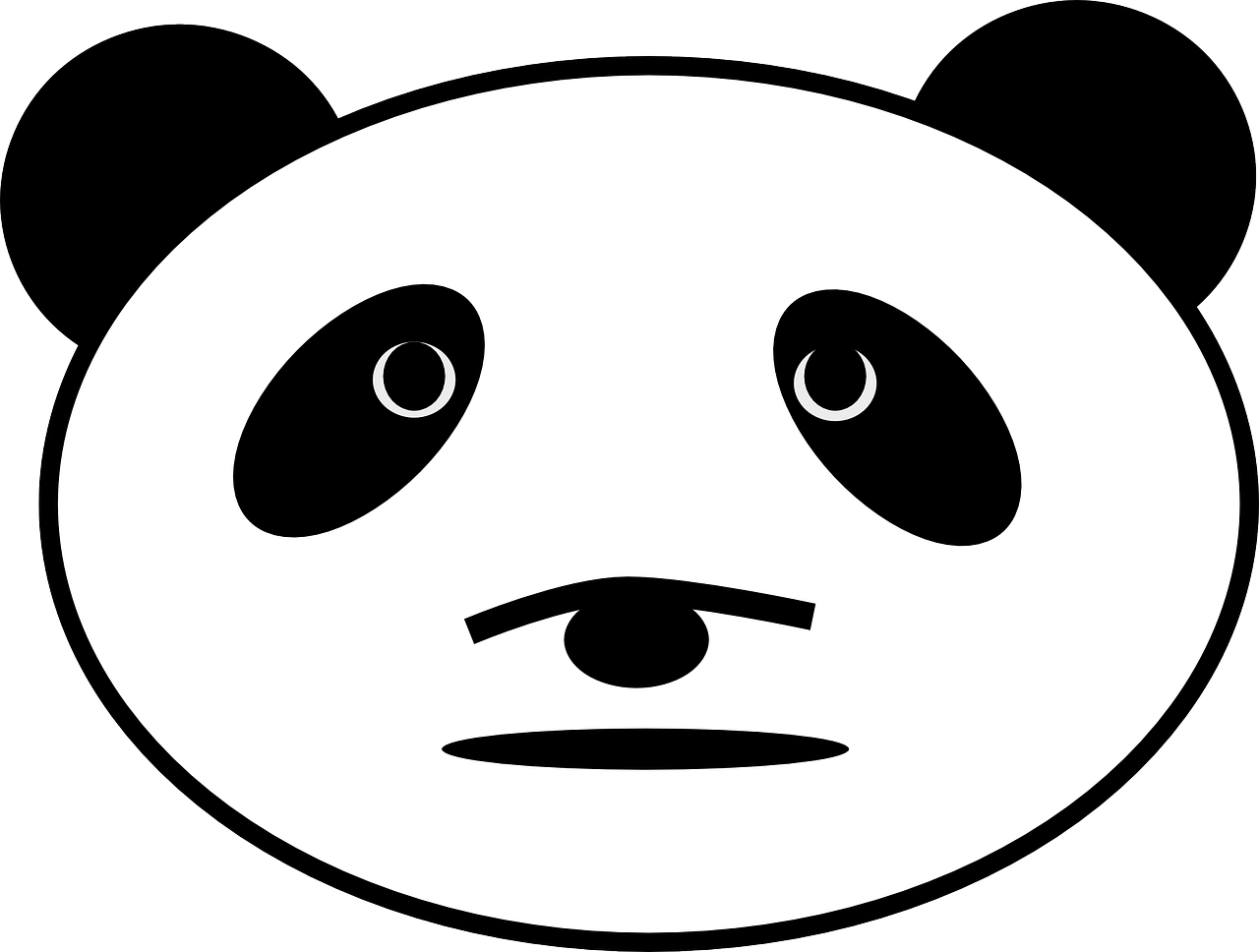 panda bear face free photo