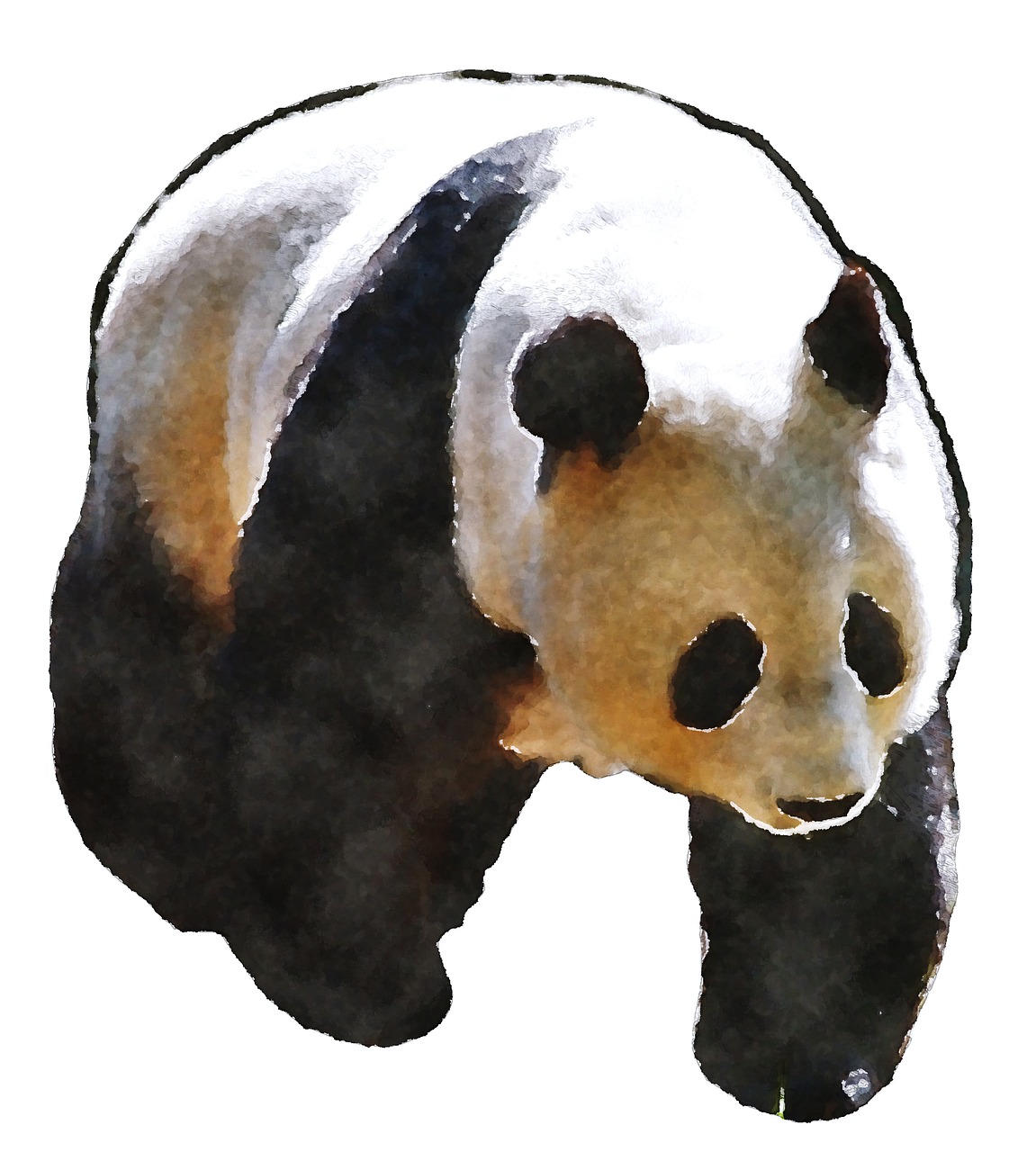 panda watercolor oekaki free photo