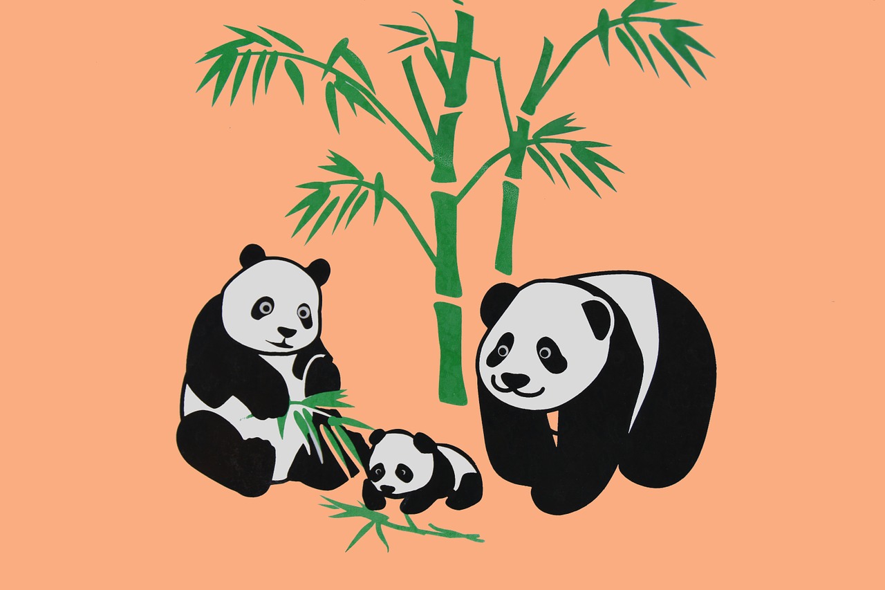 pandas animals vector graphic free photo