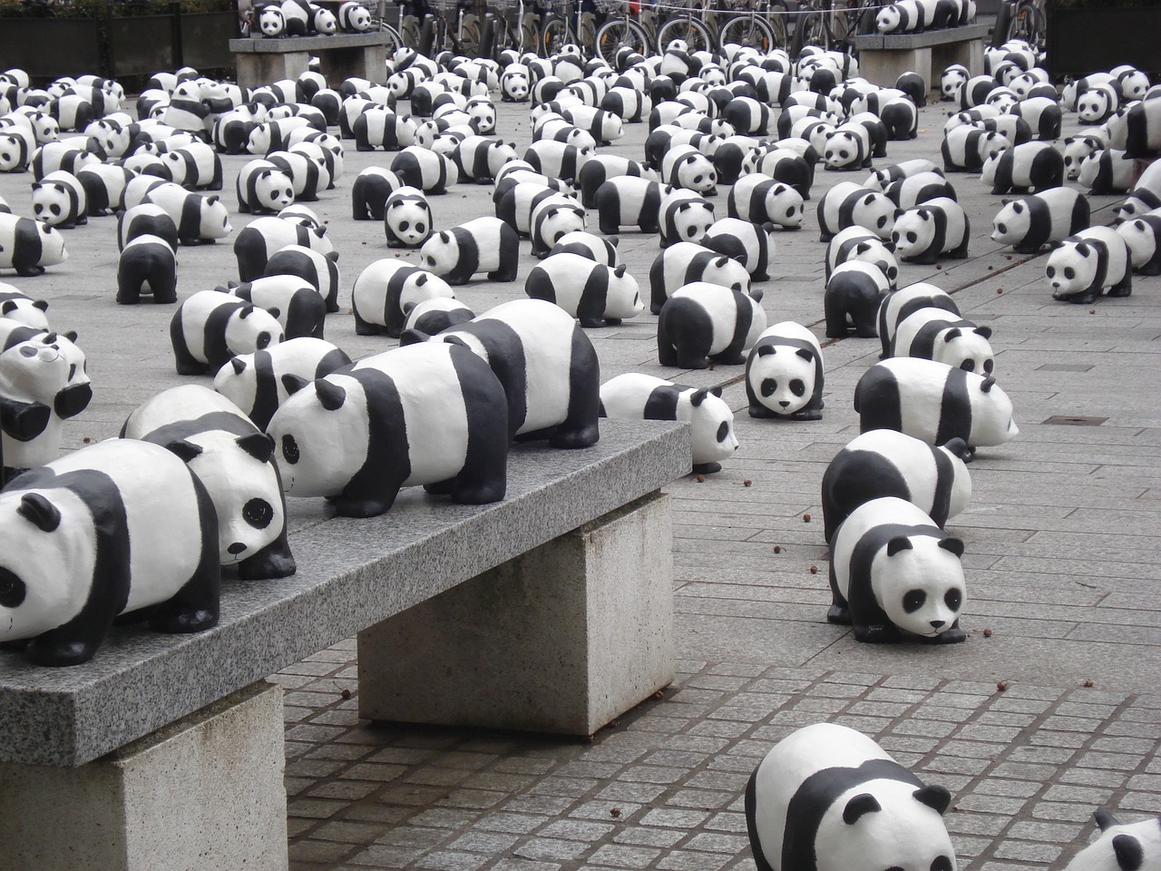 pandas miniature exhibition free photo