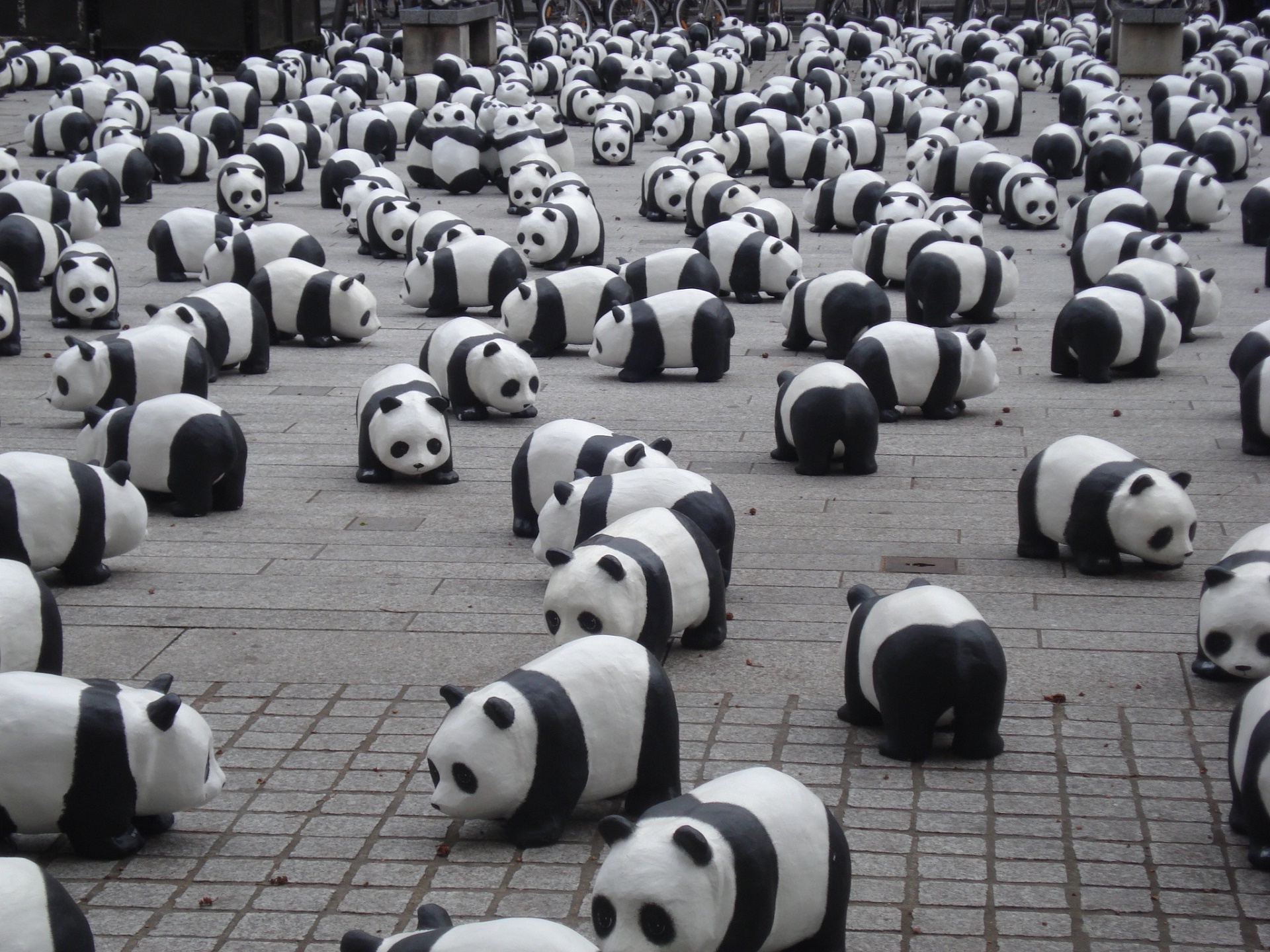 pandas toys play free photo