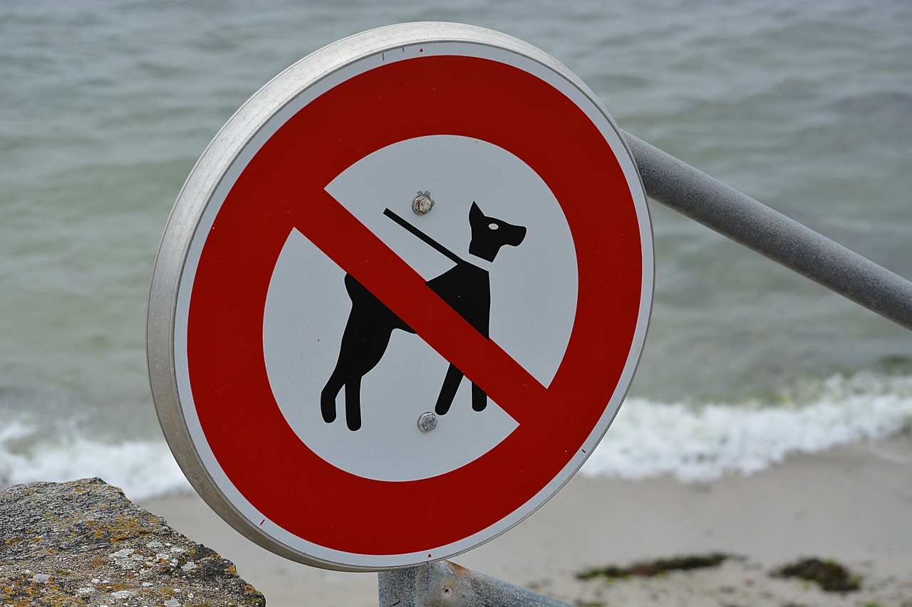 panel ban no dogs allowed free photo